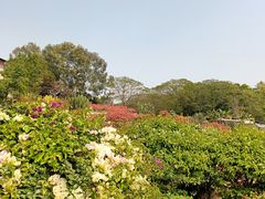 -松山湖南湖湾露营营地