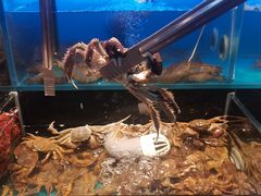 -苏格里岛自助烤肉海鲜火锅(成都金牛万达店)