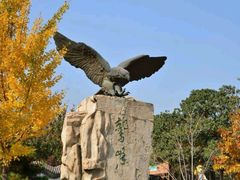 -鹫峰国家森林公园