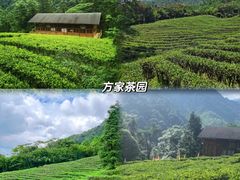 -姑婆山旅游区
