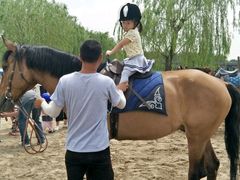 -月河湾马术俱乐部(朝阳店)