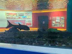 -千岛湖鱼味馆(十字街总店)