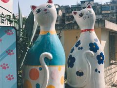 -猫咪博物馆(顶澳仔猫街店)