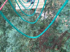 -芦仙山景区-飞越丛林探险乐园
