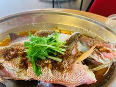 -叶全蒲种（乾）肉骨茶