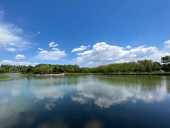 -大兴滨河森林公园