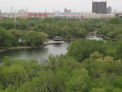 android_upload_pic-龙沙公园
