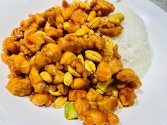 宫保鸡丁盖饭-蝎菜杨·牛肉面 羊蝎子火锅(光熙门北里店)