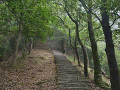-梧桐山风景名胜区