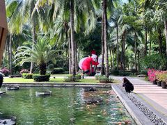 -三亚湾海居铂尔曼度假酒店