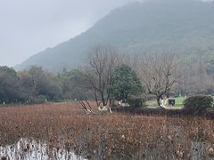 -八卦田遗址公园