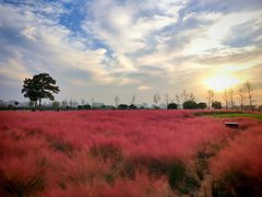 -汉长安城未央宫国家考古遗址公园