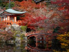 -醍醐寺