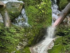 -西安祥峪森林公园