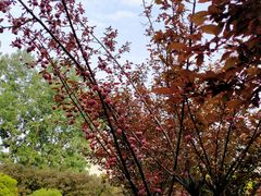 -南京中医药大学(仙林校区)