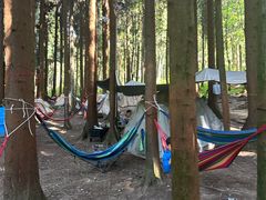 -武陵山森林公园