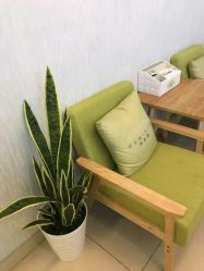 -诗媛嘉美健康管理中心(金桥店)