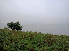 -深圳湾公园(南山区)