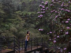 -龙苍沟森林公园