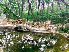 -封龙山风景区