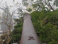 -大炮台