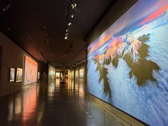 -罗红摄影艺术馆