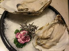 -汤城·料青山
