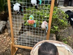-同里国家湿地公园
