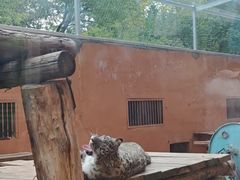 -青藏高原野生动物园