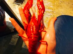 -日食记精菜馆(建邺万达店)