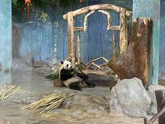 -海南热带野生动植物园