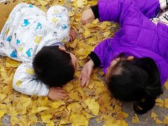 -百林公园-两江幸福广场