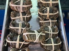 -太湖人家·喝土鸡汤·品太湖三白(动物园店)