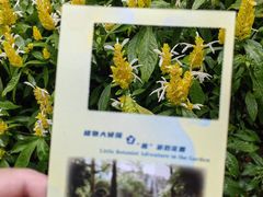 -广州花园酒店