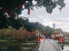 -荔枝公园(福田区)