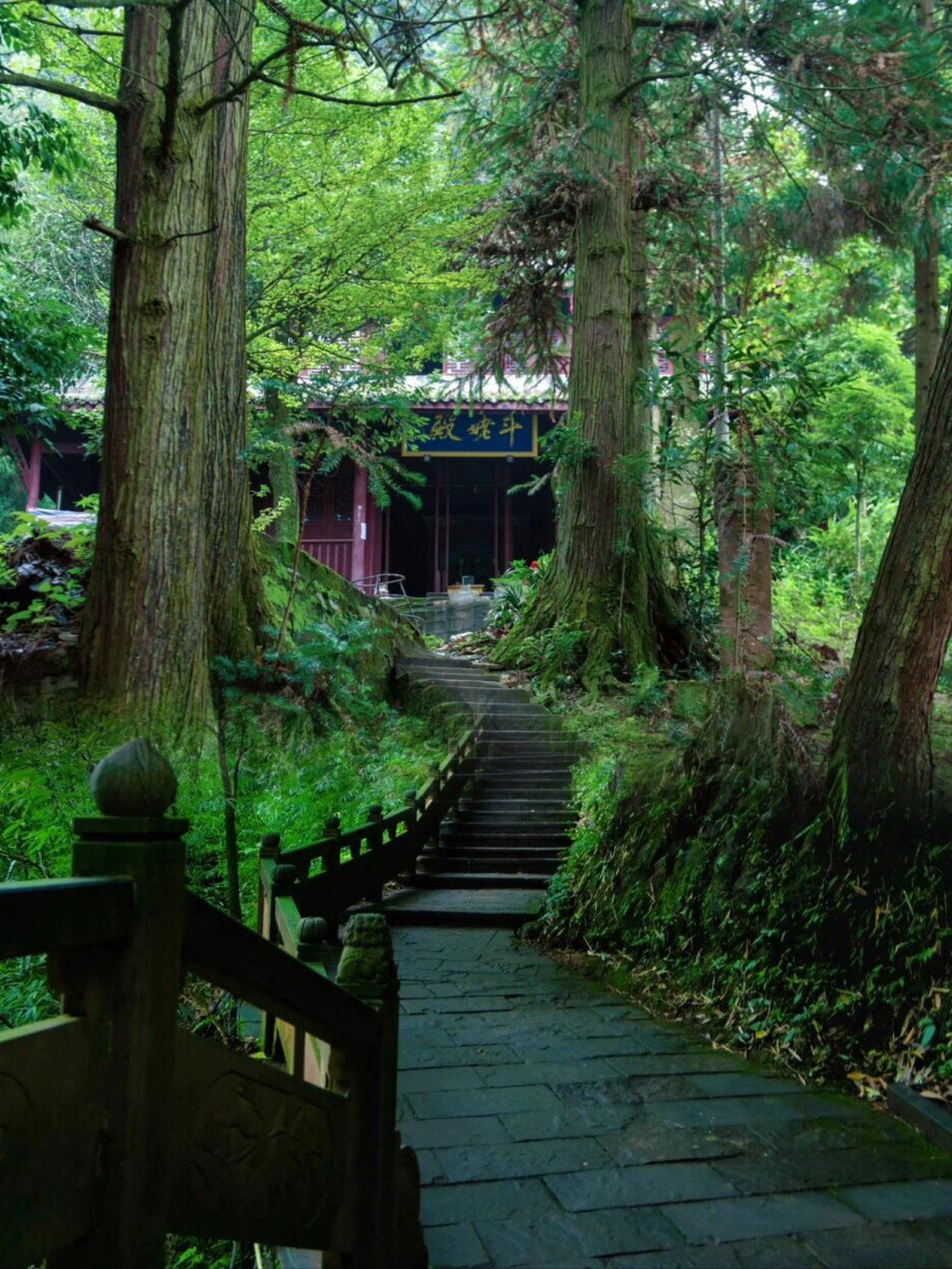 成都1小时车程,发现一座静谧而小众的千年仙山