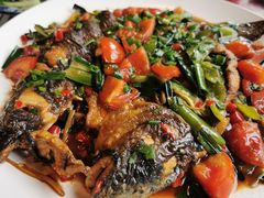 -生态苑农庄(十里画廊遇龙河店)