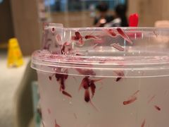 -奈雪的茶(湖滨银泰in77C区PRO店)
