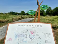-径山花海