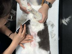 -御宝贝24h宠物医院·转诊中心·CT核磁血透中心(厦门总院)