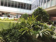 -香港大学