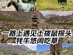 -祁连山草原