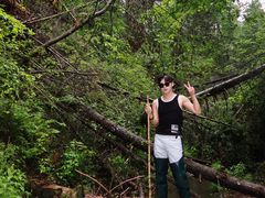 -峡谷浮石林景区