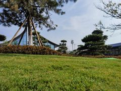 -中华郡文化旅游景区