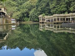 -大围山国家森林公园
