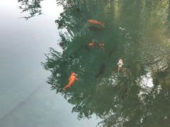 -百脉泉景区