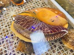 -渔家海鲜舫(宝湖路店)