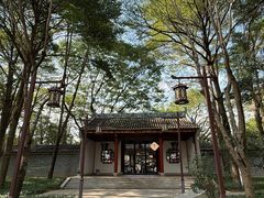 -顺峰山公园
