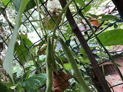 -南窖乡水峪村山情农家