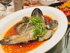清蒸珍珠斑鱼-79号渔船海鲜饭店(宝安店)